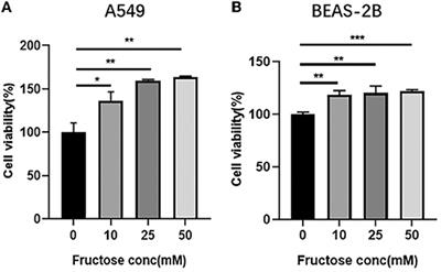 Fructose Induces Pulmonary Fibrotic Phenotype Through Promoting Epithelial-Mesenchymal Transition Mediated by ROS-Activated Latent TGF-β1